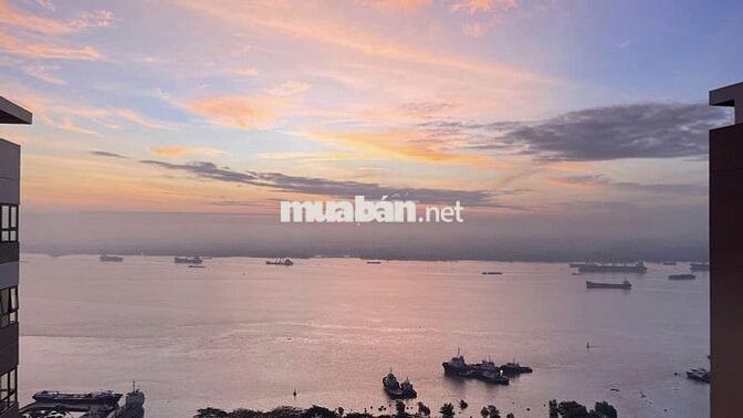 Cho thuê căn hộ 1-2-3PN Q7 Saigon Riverside Số 4 Đào Trí nhà mới