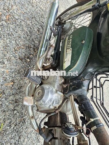 Honda Cub 81 Cổ điển Xanh rêu Đã qua sử dụng