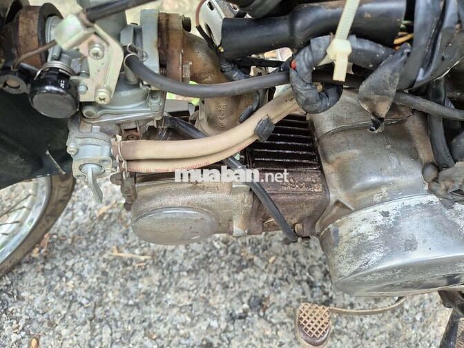 Honda Cub 81 Cổ điển Xanh rêu Đã qua sử dụng