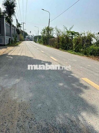 Bán Nhà Mặt Tiền Bình Hoà - Cây Dương