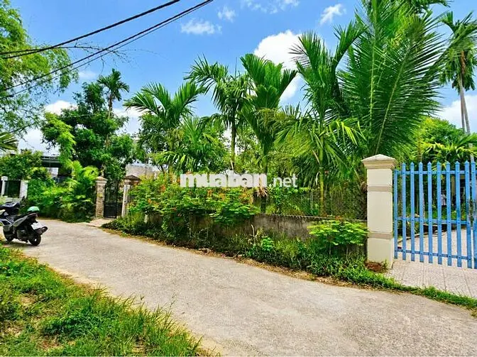 Lô Góc quá đẹp mà gi.á cực rẻ  🌟🌟 ngang rộng 8m vun vắn