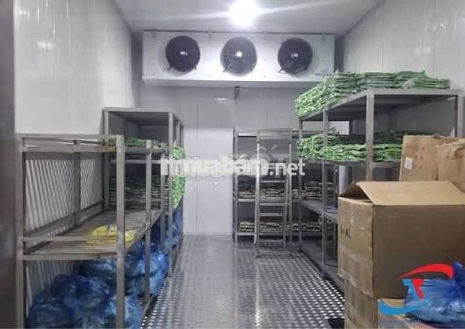 SOẠN HÀNG, SƠ CHẾ THỰC PHẨM KHO LẠNH ITL ĐÀ NẴNG