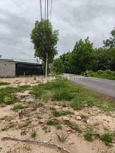 HỈ TỪ 490 TRIỆU – SỞ HỮU NGAY ĐẤT MẶT TIỀN ĐƯỜNG CẦU Ô, SÁT KCN PHƯỚC 