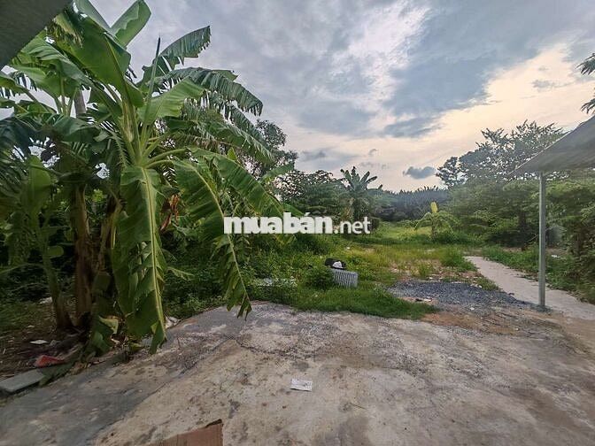 Phòng trọ rất miền tây giữa lòng SG