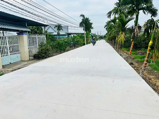 Bán đất đường TL 816 chỉ 420 triệu 1 sổ 500v đất vườn tại Bến Lức - LA