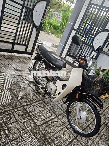 Honda Super Dream 2008