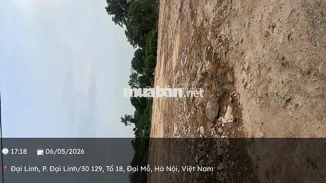 Cho Thuê Bãi Tại Đường Đại Linh