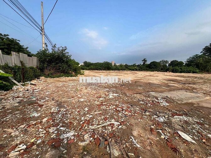 Cho Thuê Bãi Tại Đường Đại Linh