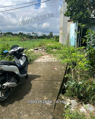 Chính chủ cần bán gấp đất thổ cư 182,9m² Quận 12
