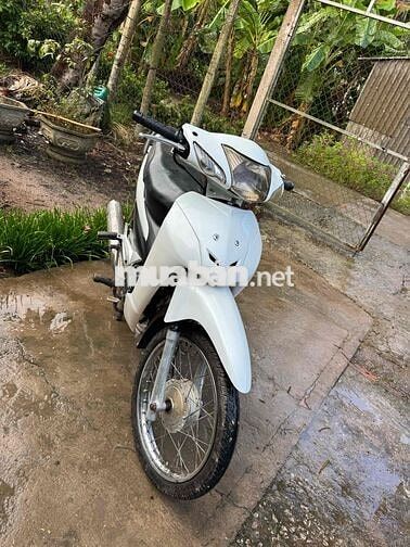 Daelim 50cc màu Trắng