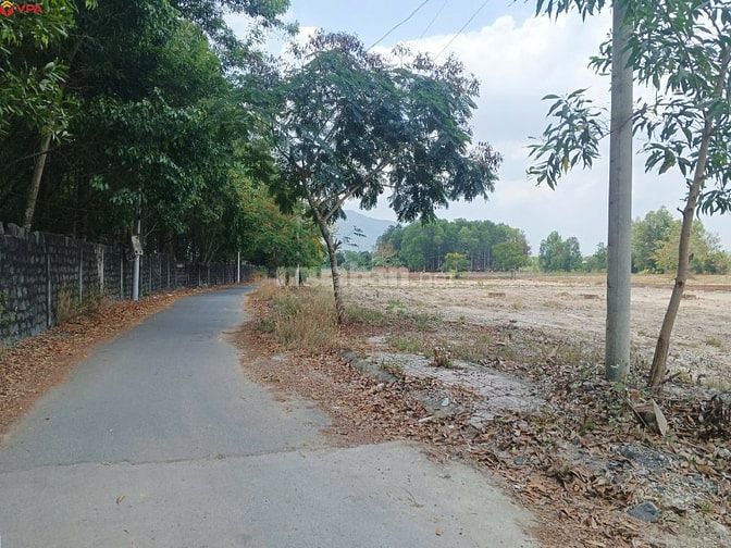 Thông báo ĐGTS đang được thế chấp tại Ngân hàng TMCP Quốc tế Việt Nam
