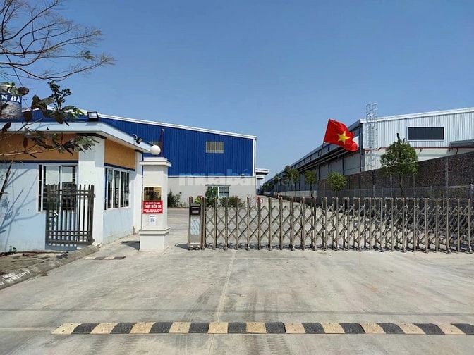 Tuyển Nhân Viên Kho Nam - Thu Nhập 8-12 Triệu - Phỏng Vấn Hàng Ngày