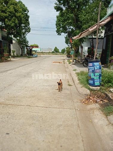 Nhà đút diện tích 5x30 mặt tiền đường rộng 10m hướng chánh nam.
