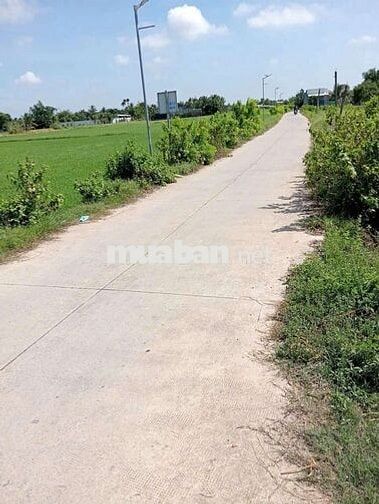 CẦN BÁN LÔ ĐẤT THỔ CƯ 💯 DT 234 M2 TẠI ĐỨC HÒA