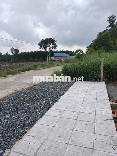 Bán đất chính chủ 200m², sổ riêng tại Minh Hưng, Chơn Thành
