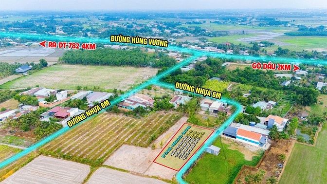 Đất ở đô thị phường Gò Dầu. Ngang 6m. Đường nhựa. 339tr 