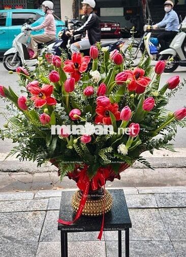 Chính chủ cho thuê nhà nguyên căn