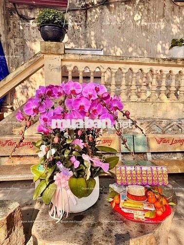 Chính chủ cho thuê nhà nguyên căn