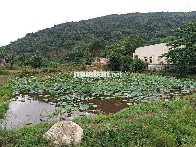 Mặt tiền kd cho thuê ở, buôn bán, làm homestay