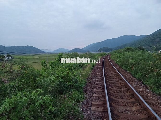 Mặt tiền kd cho thuê ở, buôn bán, làm homestay