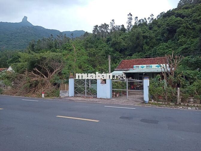 Mặt tiền kd cho thuê ở, buôn bán, làm homestay