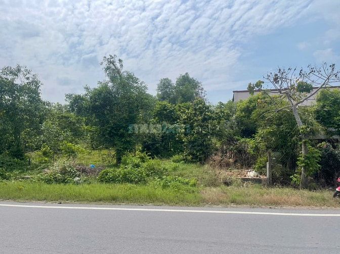 Mặt Tiền Hùng Vương – 250m² Thổ Cư – Quỹ Đất Đẹp Đại Phước