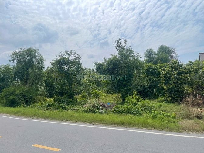 Mặt Tiền Hùng Vương – 250m² Thổ Cư – Quỹ Đất Đẹp Đại Phước