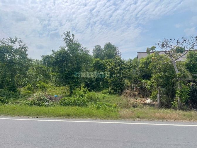 Mặt Tiền Hùng Vương – 250m² Thổ Cư – Quỹ Đất Đẹp Đại Phước