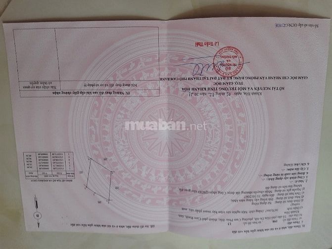 Chính chủ cần tiền bán gấp trại Vườn Xoài tại Cam Phúc Bắc, Cam Ranh
