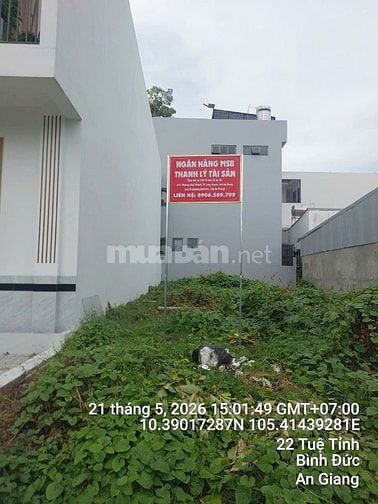 Công ty đấu giá hợp danh Sao Việt 