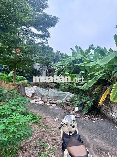 Cần tiền bán gấp 61m2 Full thổ cư tại Tân Xã giáp FPT