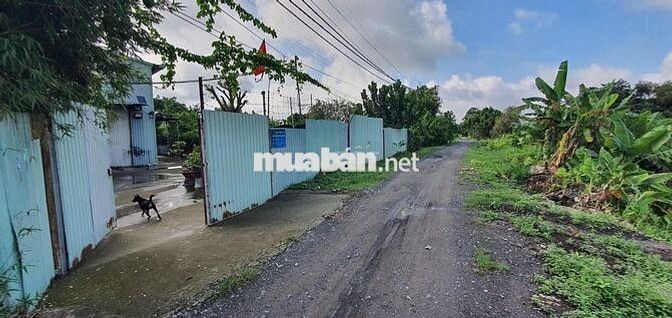 CHO THUÊ KHO XƯỞNG CƠ KHÍ 1000M² TẠI BÌNH MỸ, CỦ CHI