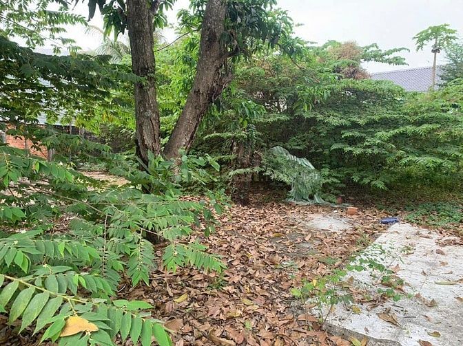 THÔNG BÁO ĐẤU GIÁ TÀI SẢN THEO THỦ TỤC RÚT GỌN