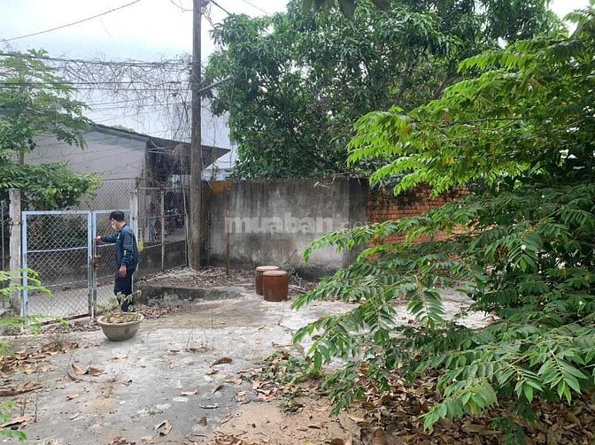THÔNG BÁO ĐẤU GIÁ TÀI SẢN THEO THỦ TỤC RÚT GỌN