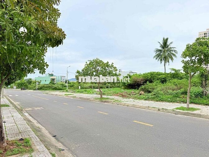Đất nền dự án siêu đẹp tại đường Võ Tự 7m5