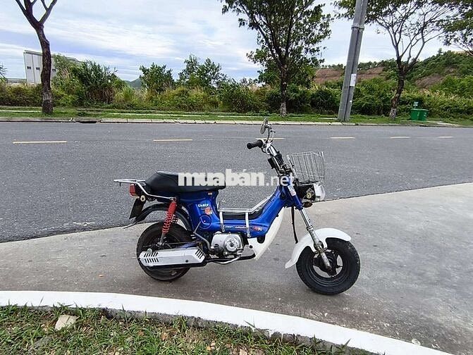 Honda Chaly Xanh, Trắng Nhật Bản