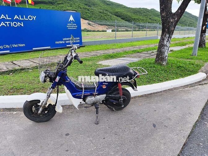 Honda Chaly Xanh, Trắng Nhật Bản