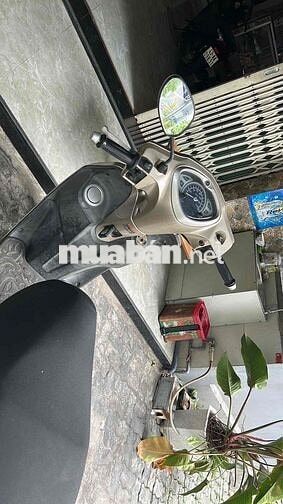 Yamaha Acruzo Vàng cát Tiết kiệm xăng