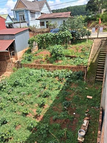 Bán đất mặt tiền Xuân Sơn, Xuân Trường, Đà Lạt - 240m²
