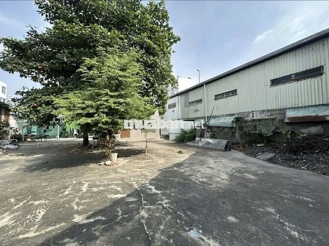 CHO THUÊ ĐẤT TRỐNG MẶT TIỀN ĐƯỜNG NGUYỄN HỮU TIẾN 1100M2