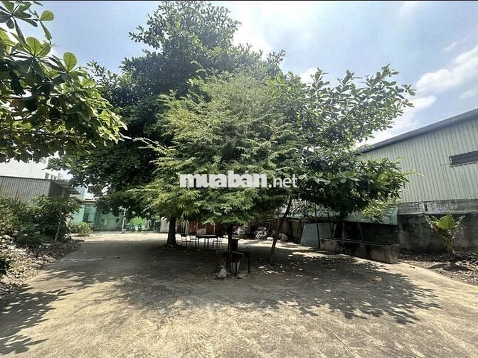 CHO THUÊ ĐẤT TRỐNG MẶT TIỀN ĐƯỜNG NGUYỄN HỮU TIẾN 1100M2