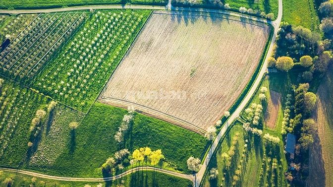 Bán miếng đất tại Củ Chi , 1500m2 có 80m2 thổ , có sổ