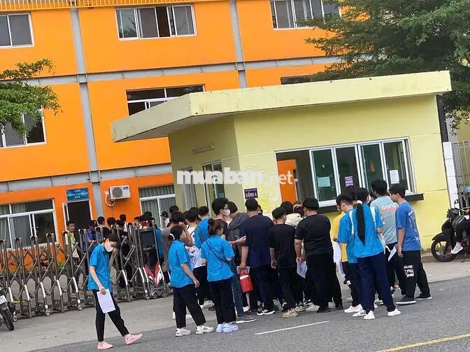 CÔNG TY AMPACS TUYỂN NAM NỮ CHÍNH THỨC & THỜI VỤ