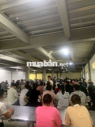 CÔNG TY AMPACS TUYỂN NAM NỮ CHÍNH THỨC & THỜI VỤ