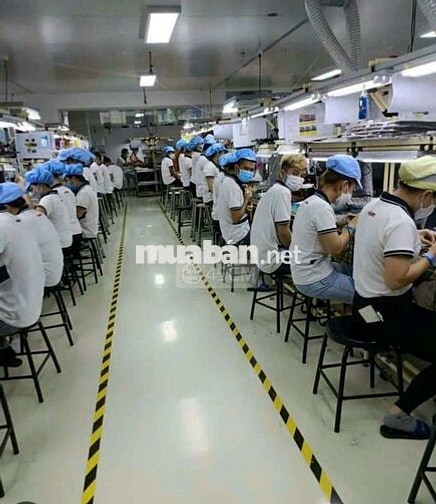 CÔNG TY AMPACS TUYỂN NAM NỮ CHÍNH THỨC & THỜI VỤ