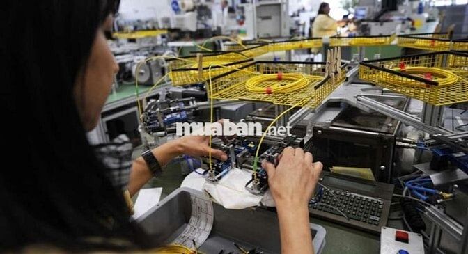 NHÂN VIÊN LẮP RÁP ĐẦU NỐI CÁP TẠI BÌNH DƯƠNG 13TR+