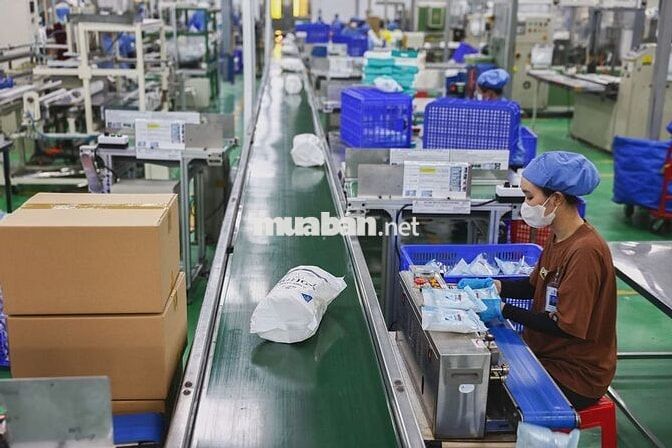 [Gò Vấp] Tuyển 15 công nhân sản xuất - Đi Làm Ngay