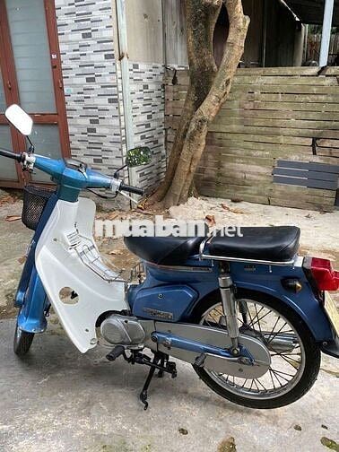 Honda Cub 50cc Xanh Trắng