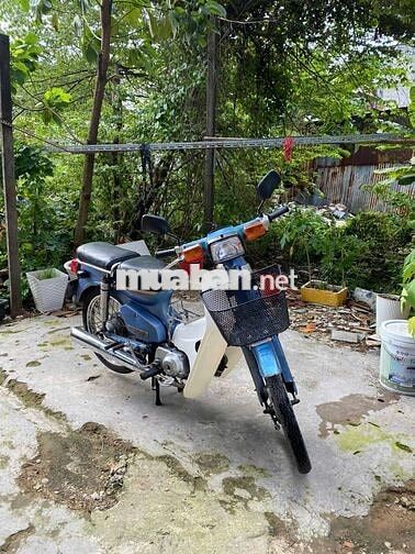 Honda Cub 50cc Xanh Trắng