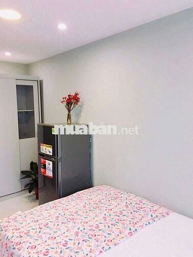 💥💥💥 Sinh Viên Chú Ý ❌️ Căn Hộ Gần ĐH Hồng Bàng, Uef Qua Trường 3 Phút